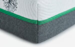 TRIO - Image 4